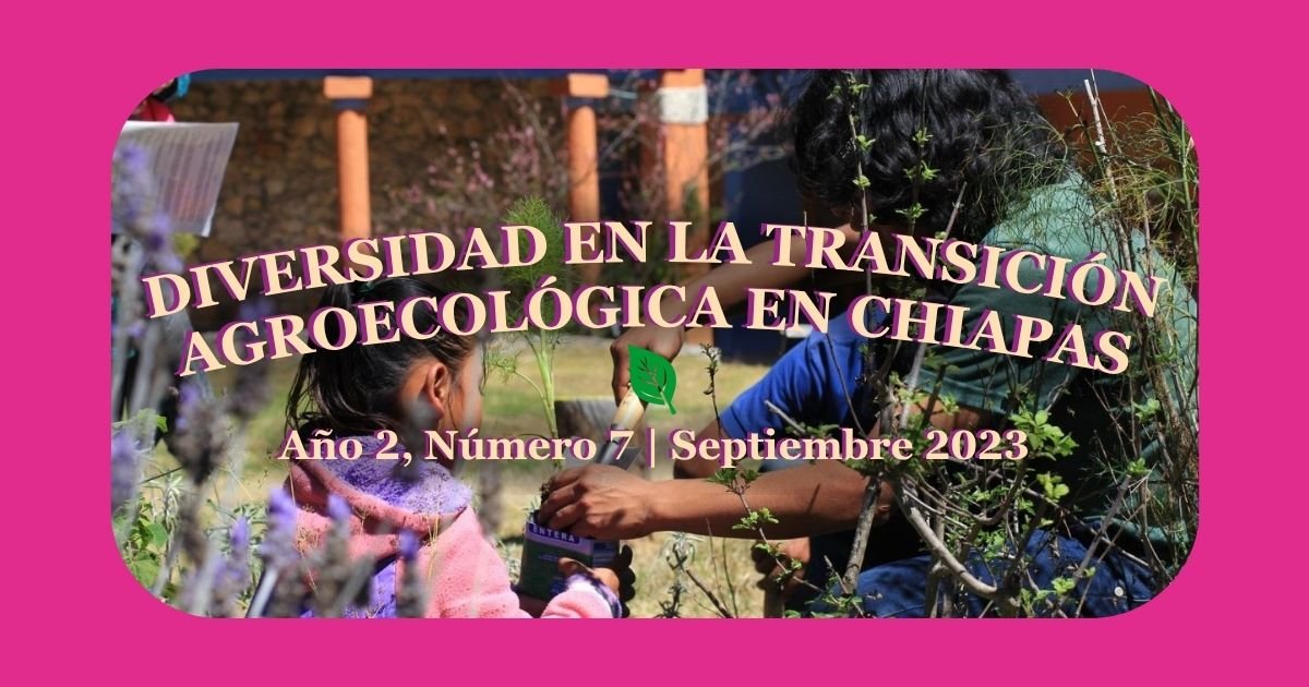 Diversidad En La Transición Agroecológica En Chiapas.